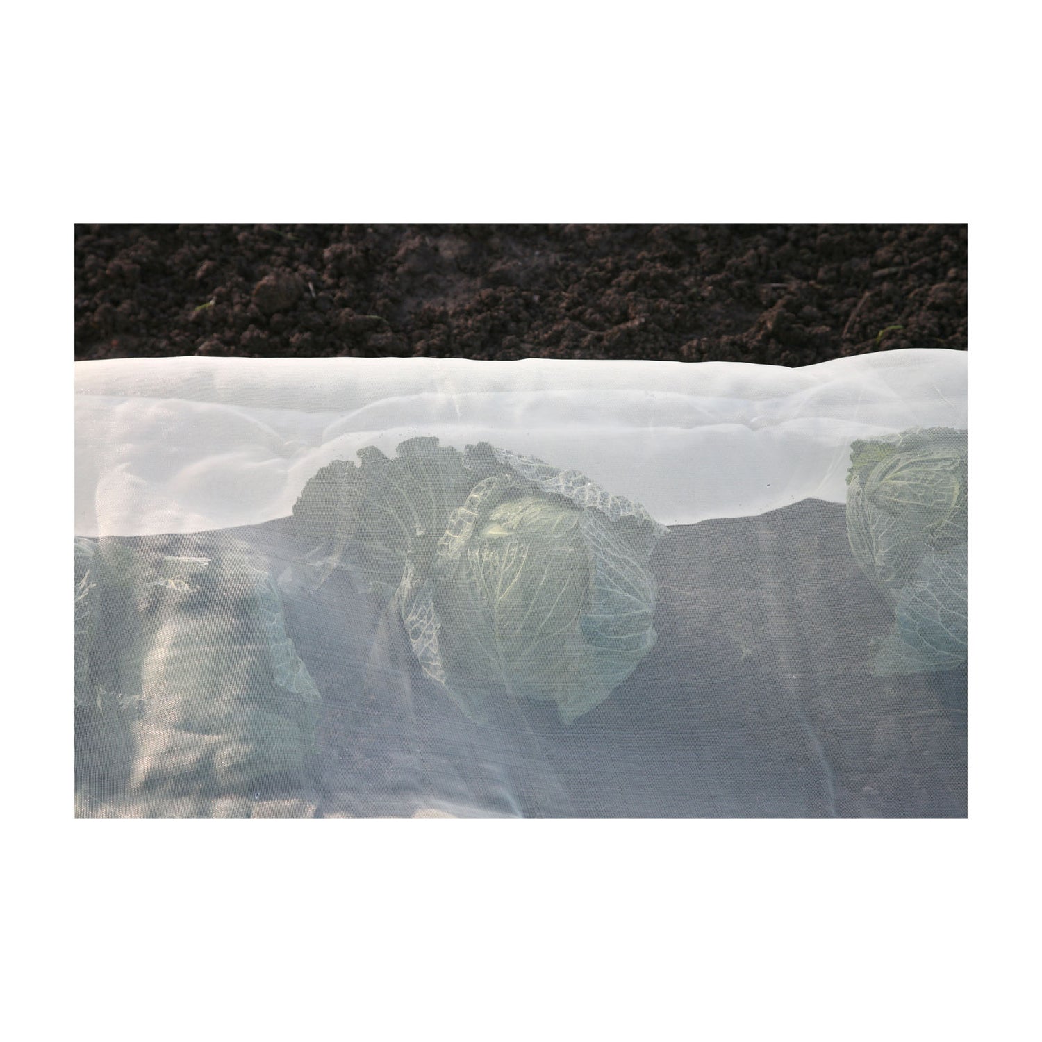 Micromesh Blanket - Pre-Cut 16&