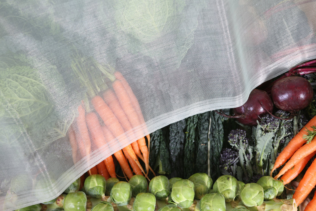 Micromesh Blanket - Pre-Cut 8&