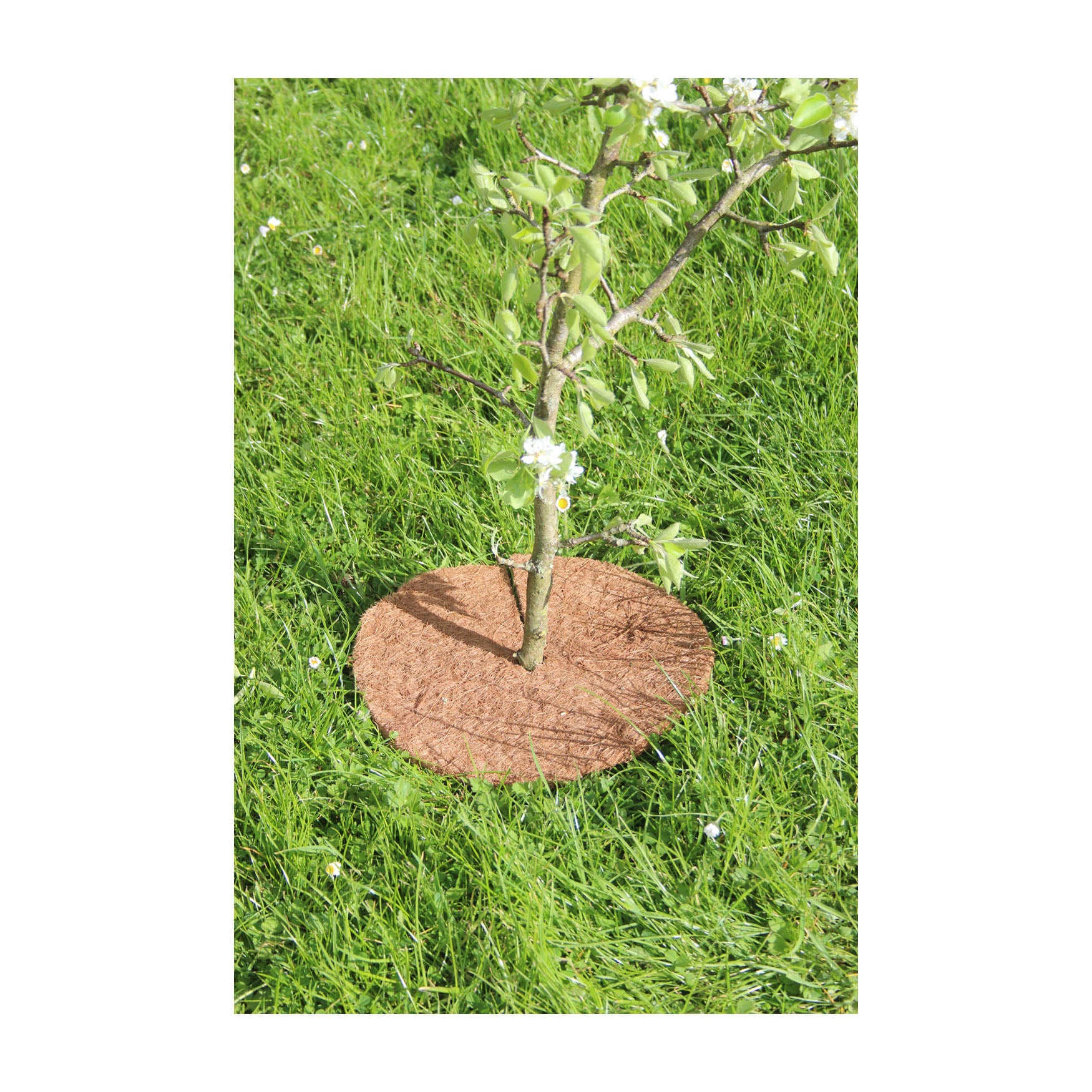 Coco Tree Mat (3 pack) - 16" Round