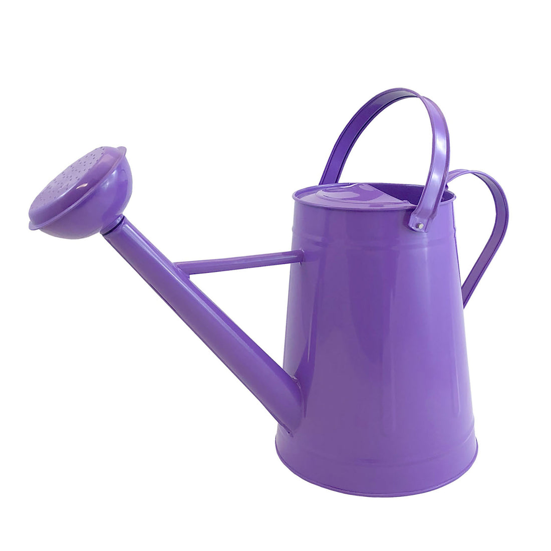 Metal Watering Can - 2.1 gal Violet