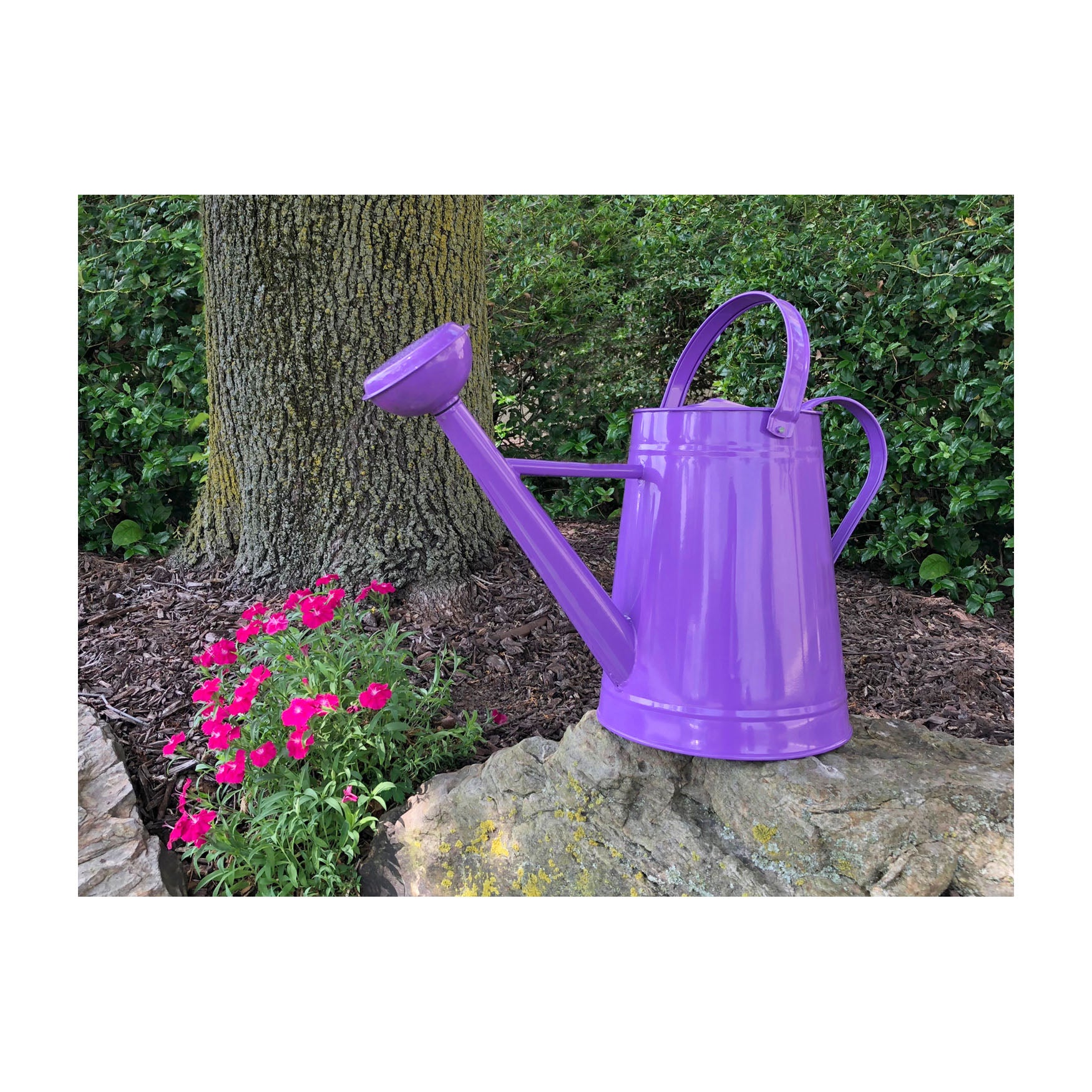 Metal Watering Can - 1.2 gal Violet