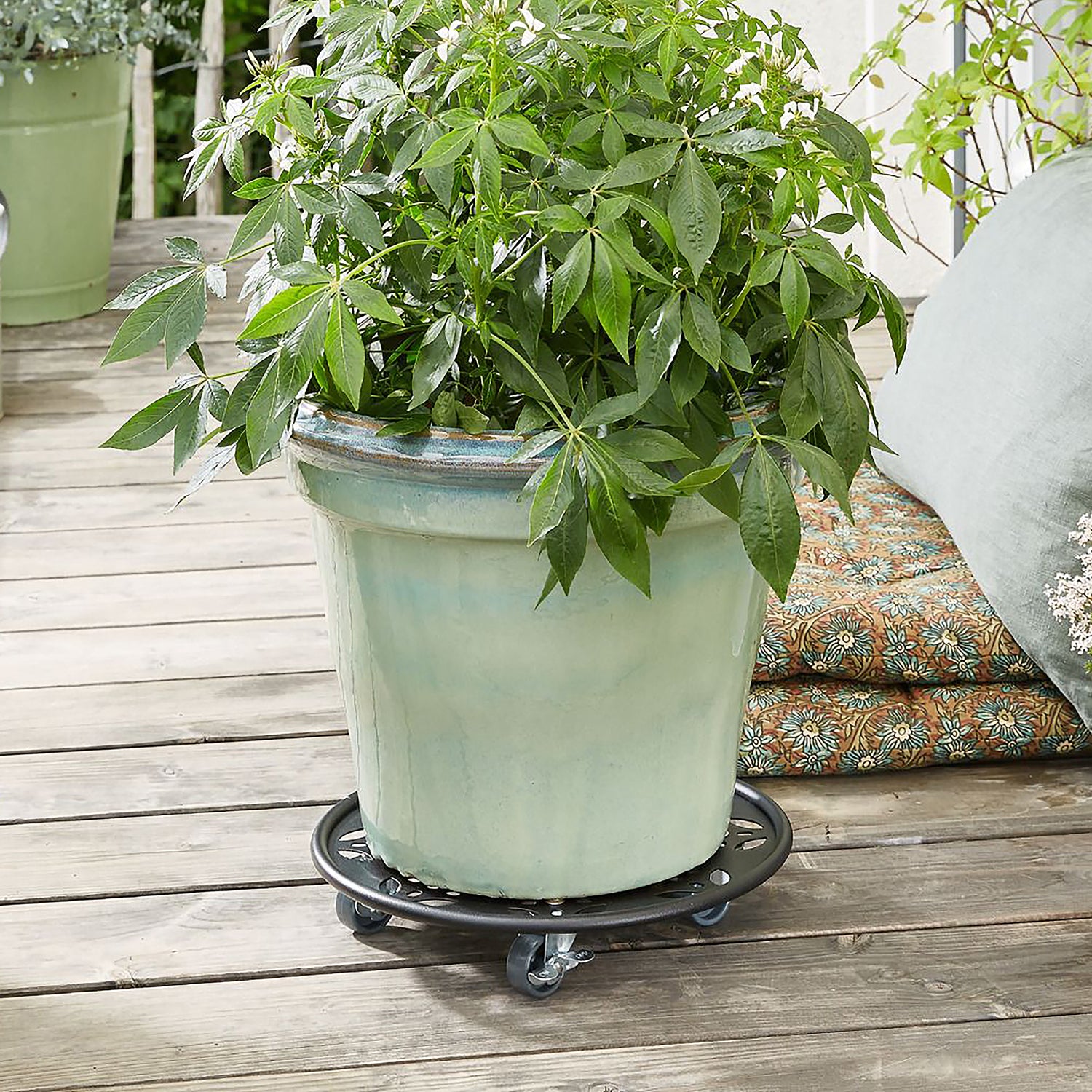 Steel Plant Caddy - 11.8" Black Round Flower