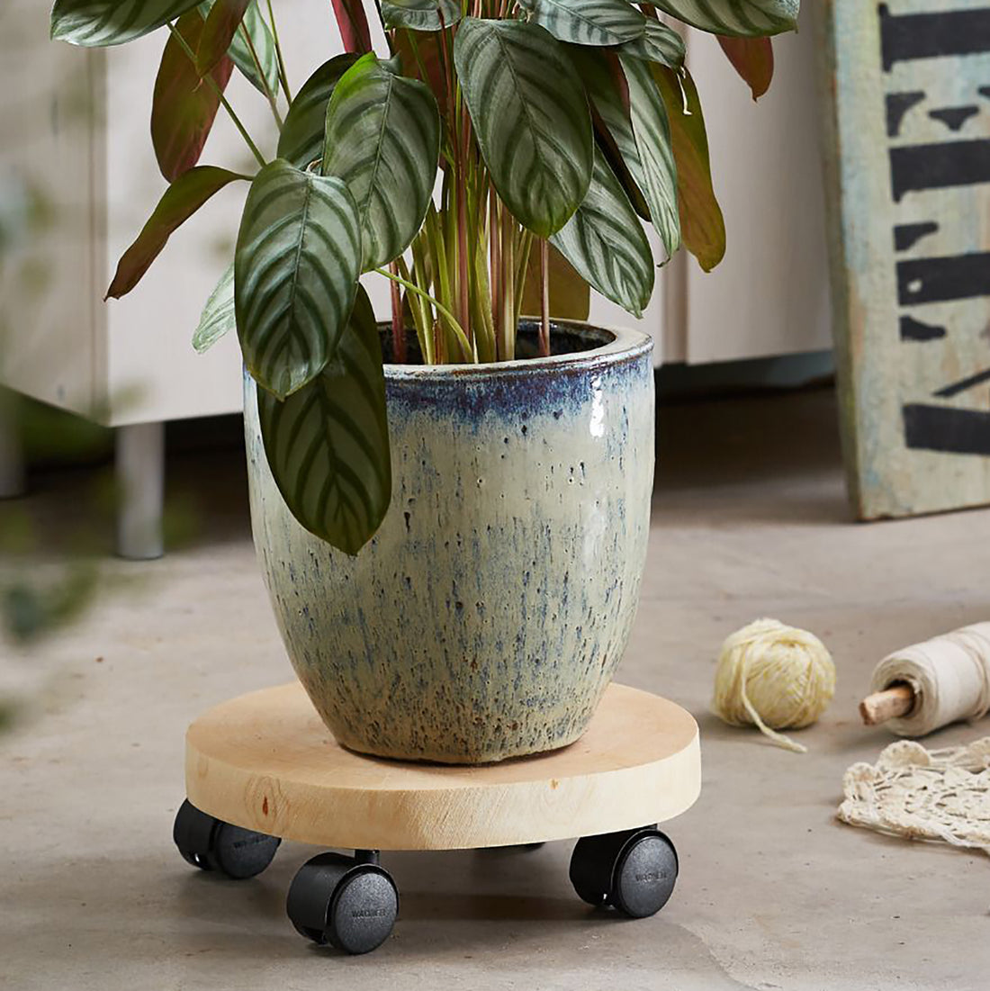 Wooden Plant Caddy - 10&quot; Natural Birch Round