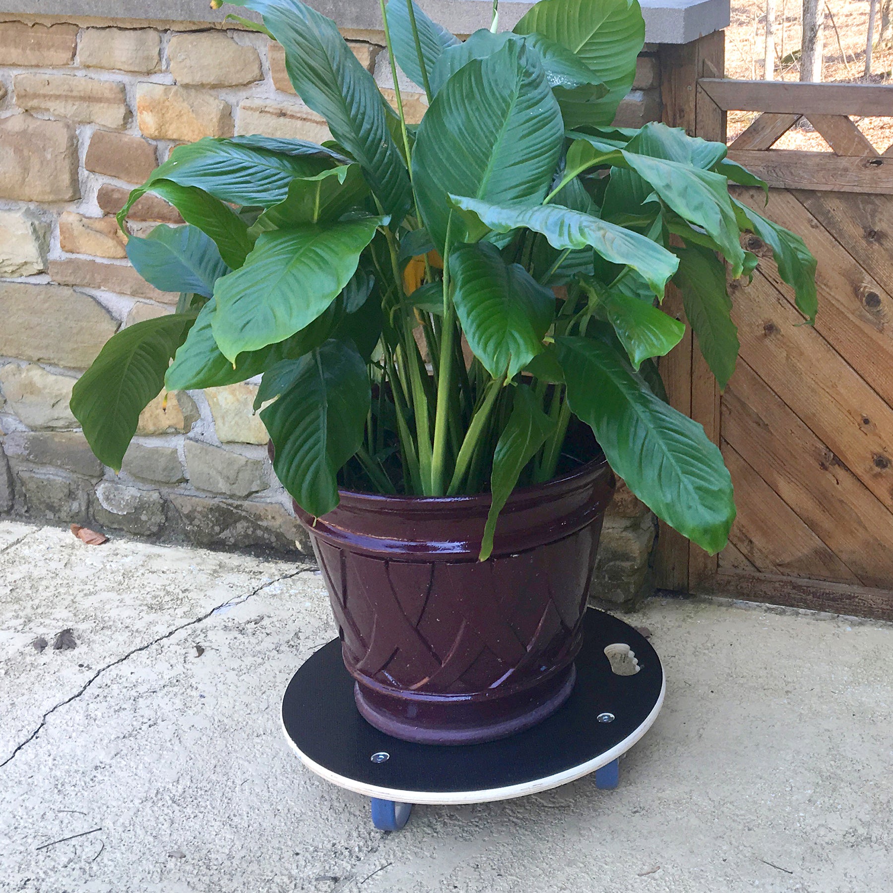 MaxiGrip Plant Caddy- 22.8" Black Round
