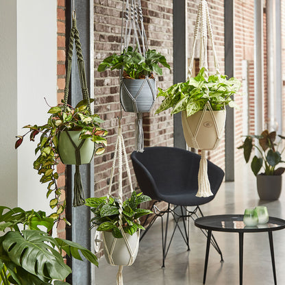 Macrame Hanger - 35" Natural Green