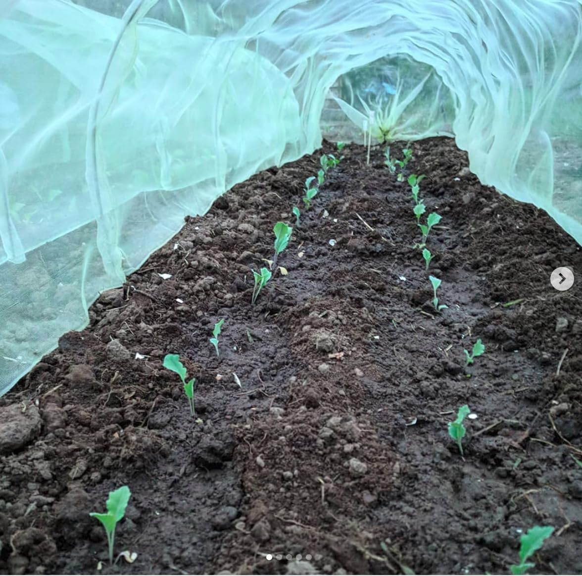 Easy Micromesh Tunnel - Giant