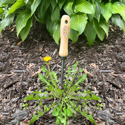 DeWit Tool Set - Weeding