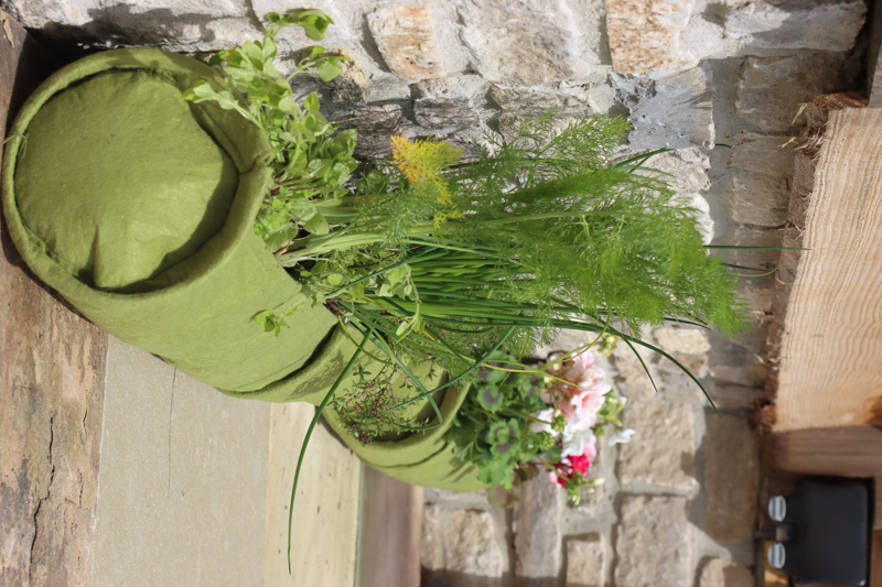 Vigoroot Plant Tube