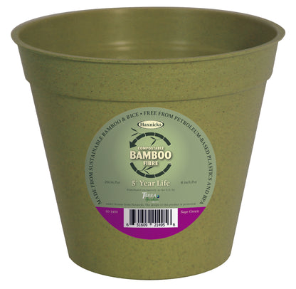 Bamboo Pot  - 8" Green
