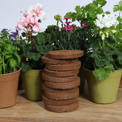 Coir 20g Disc (10 pack) - Growlite Premium