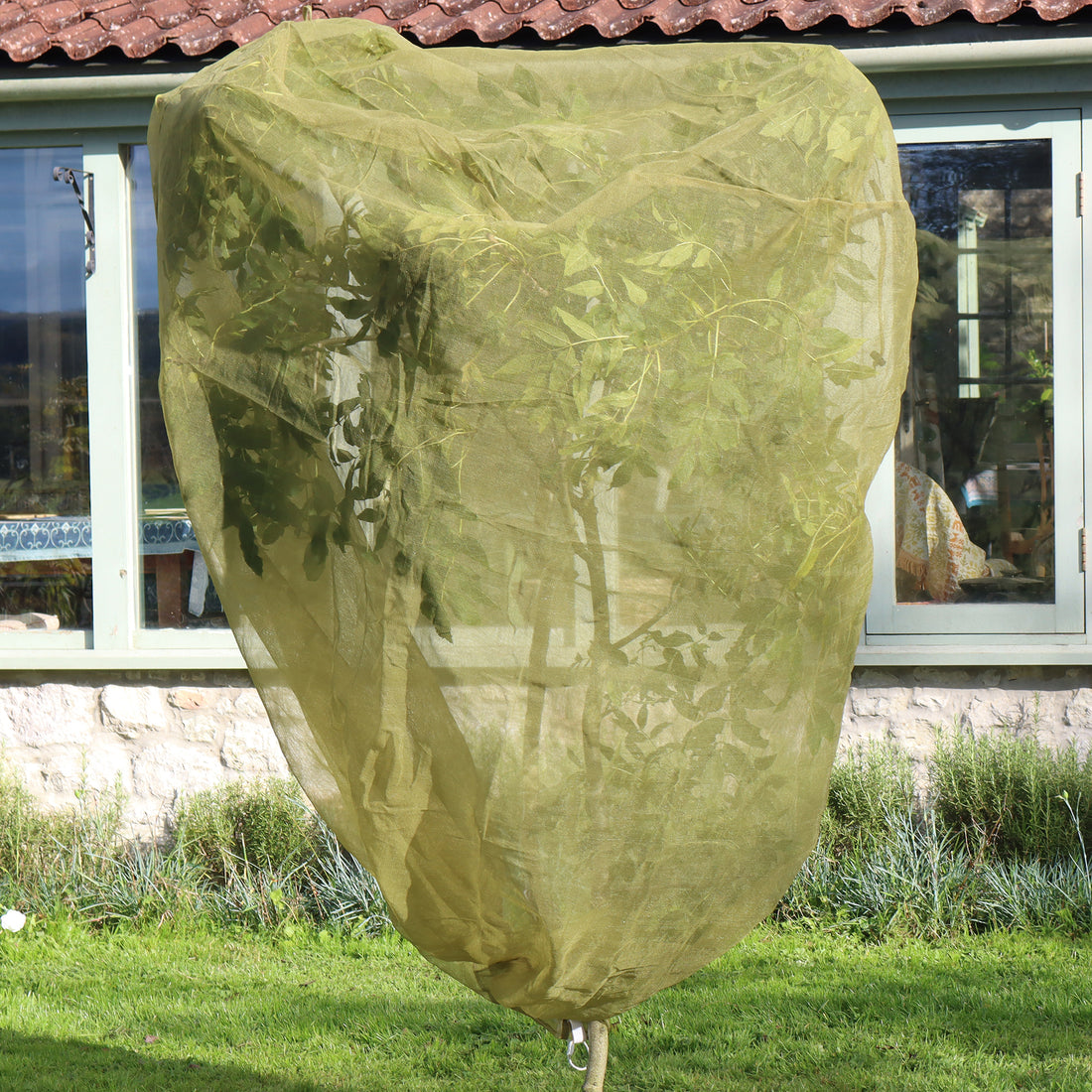 Fruit Tree Cover - 3.3&