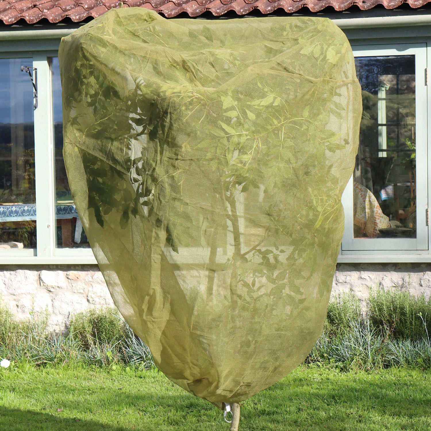 Fruit Tree Cover - 3.3&