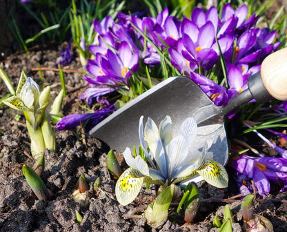 DeWit Tool Gift Set - Starter Intro to Gardening