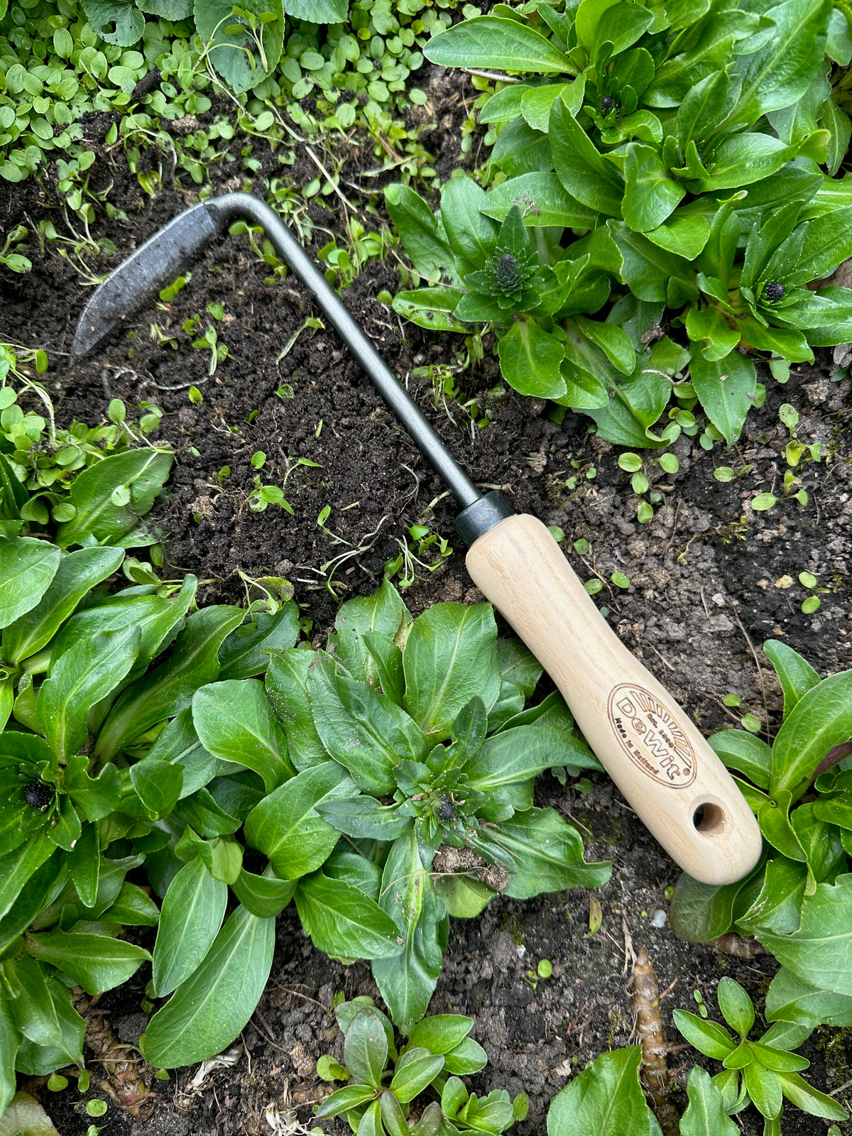 DeWit Tool Set - Weeding