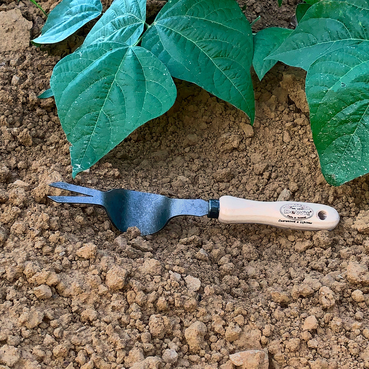 DeWit Tool Set - Weeding