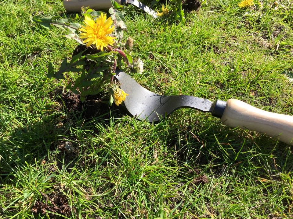 DeWit Tool Set - Weeding
