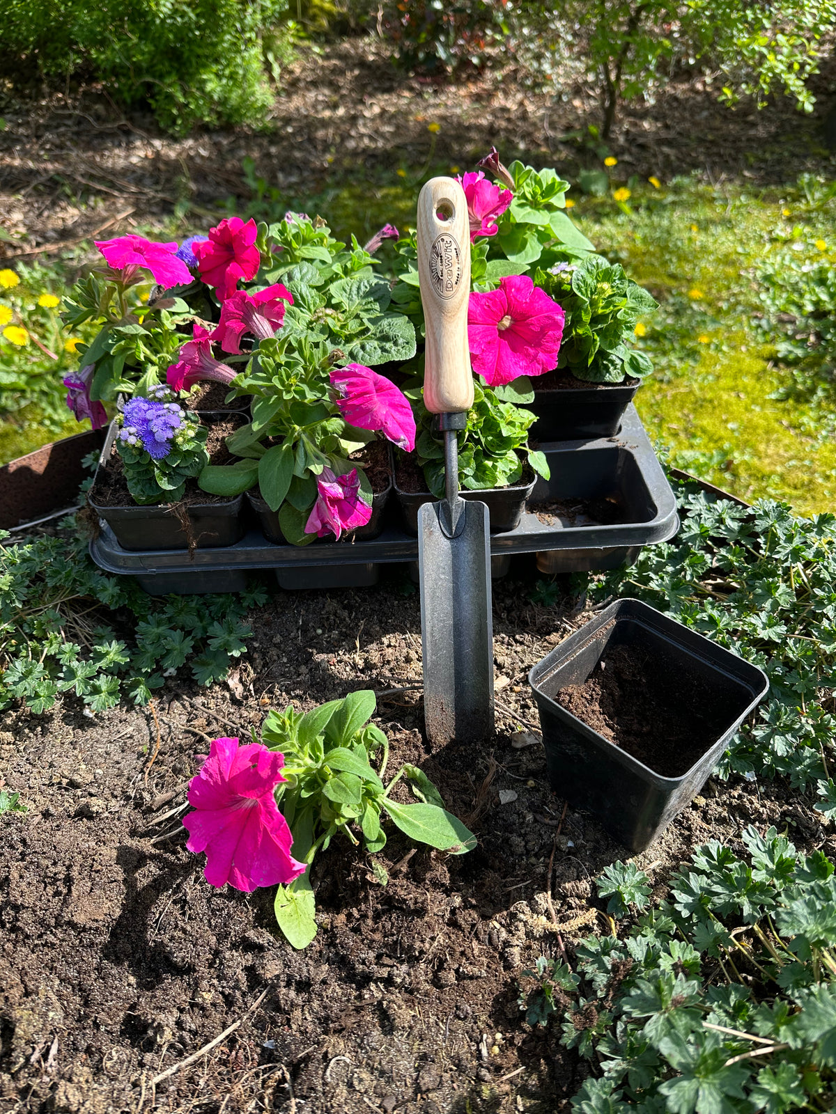 DeWit Tool Set - Patio