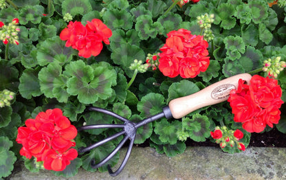 DeWit Tool Set - Patio