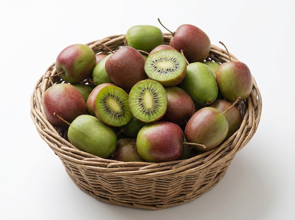 Prolific Kiwi (Actinidia arguta &