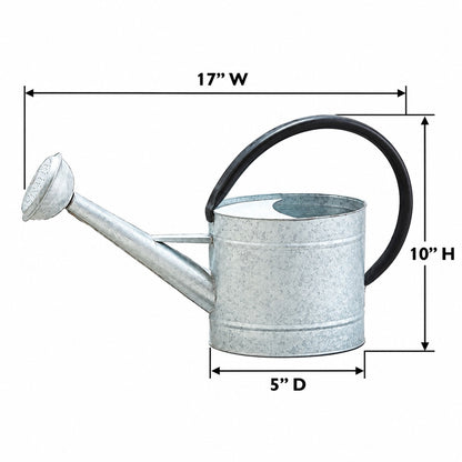 Aged Zinc Watering Can - 0.7 gal Oval