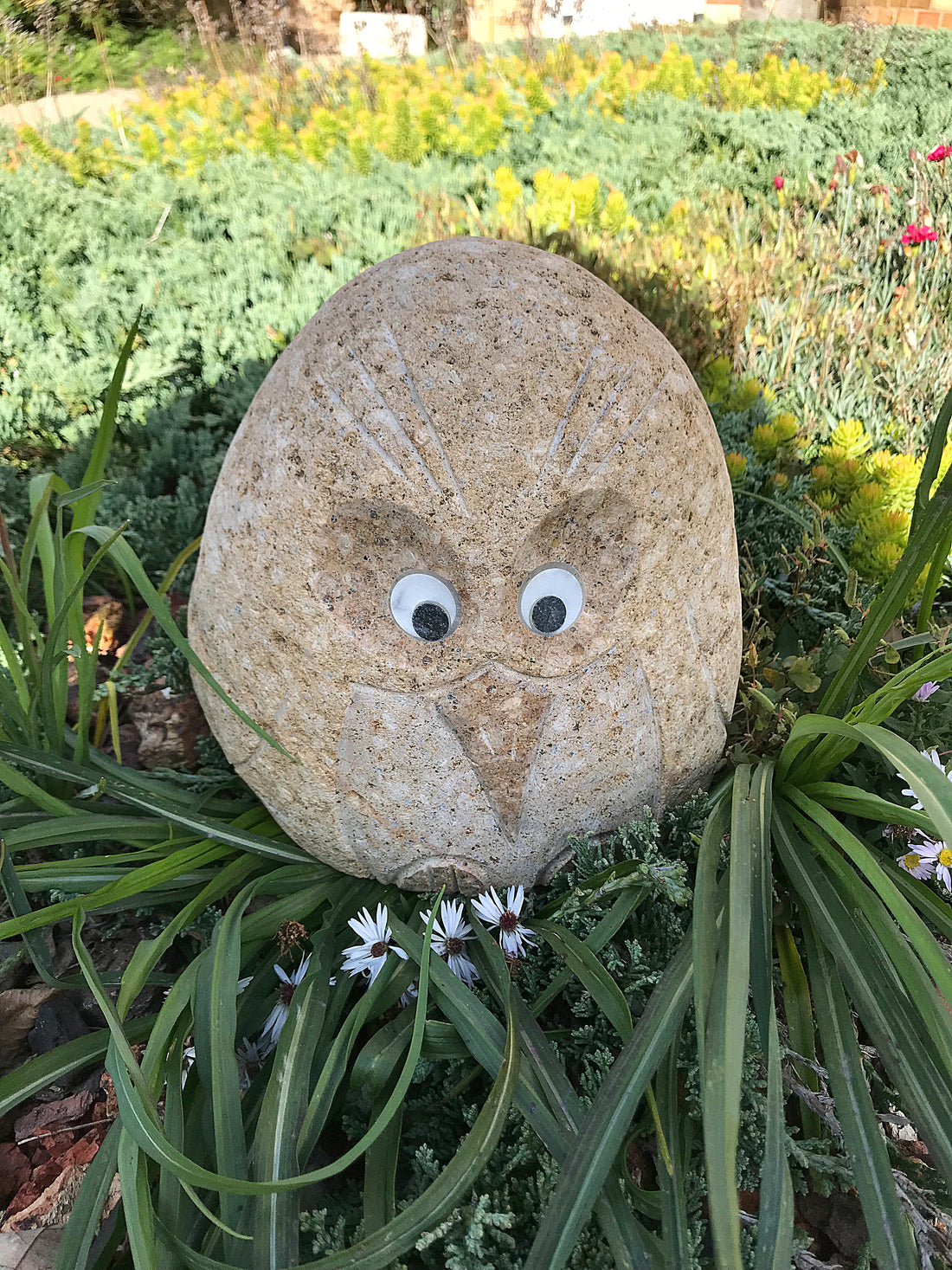 Boulder Angry Bird - 8" H
