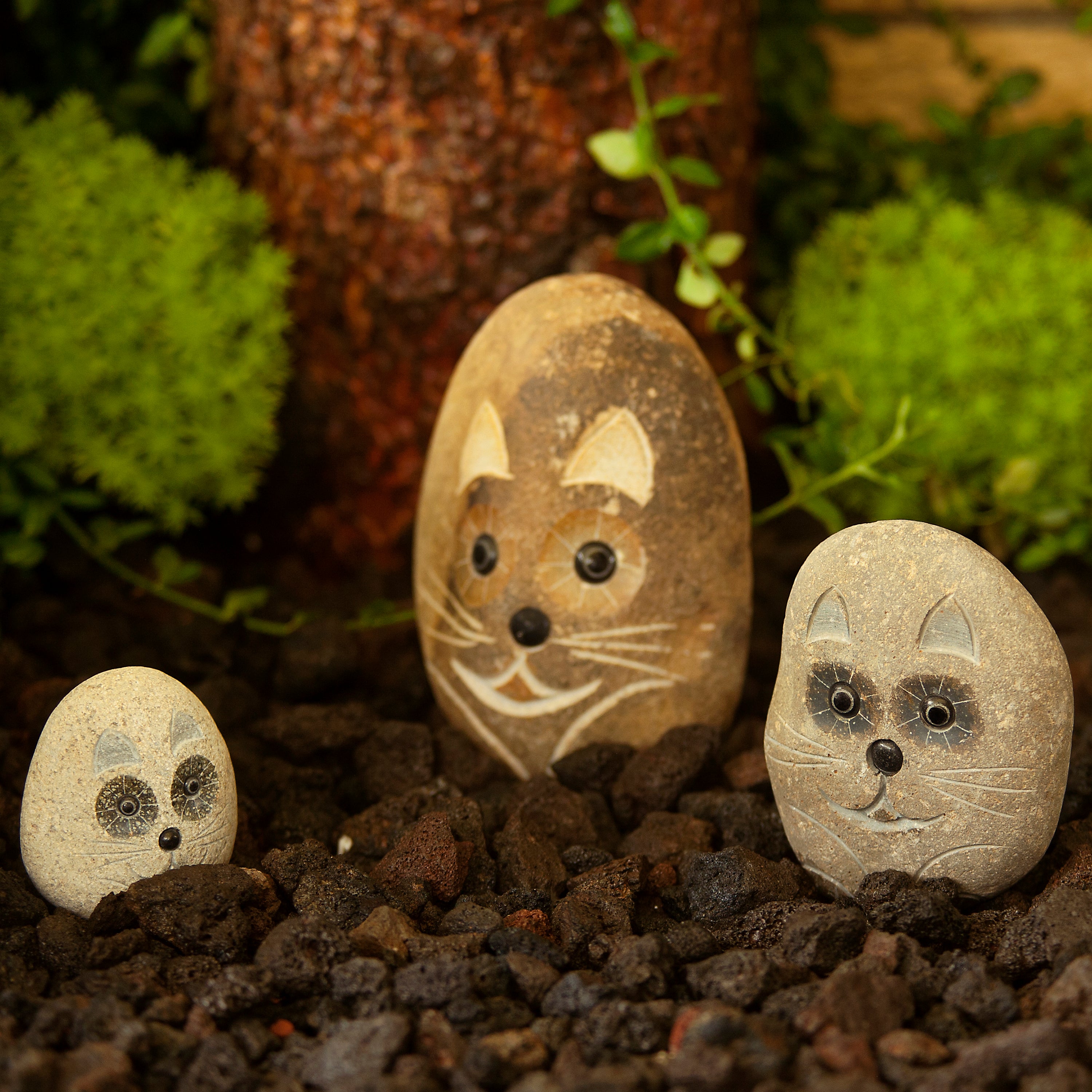 Family of Boulder Cats - 3 Pcs 4"H, 6"H, 8"H