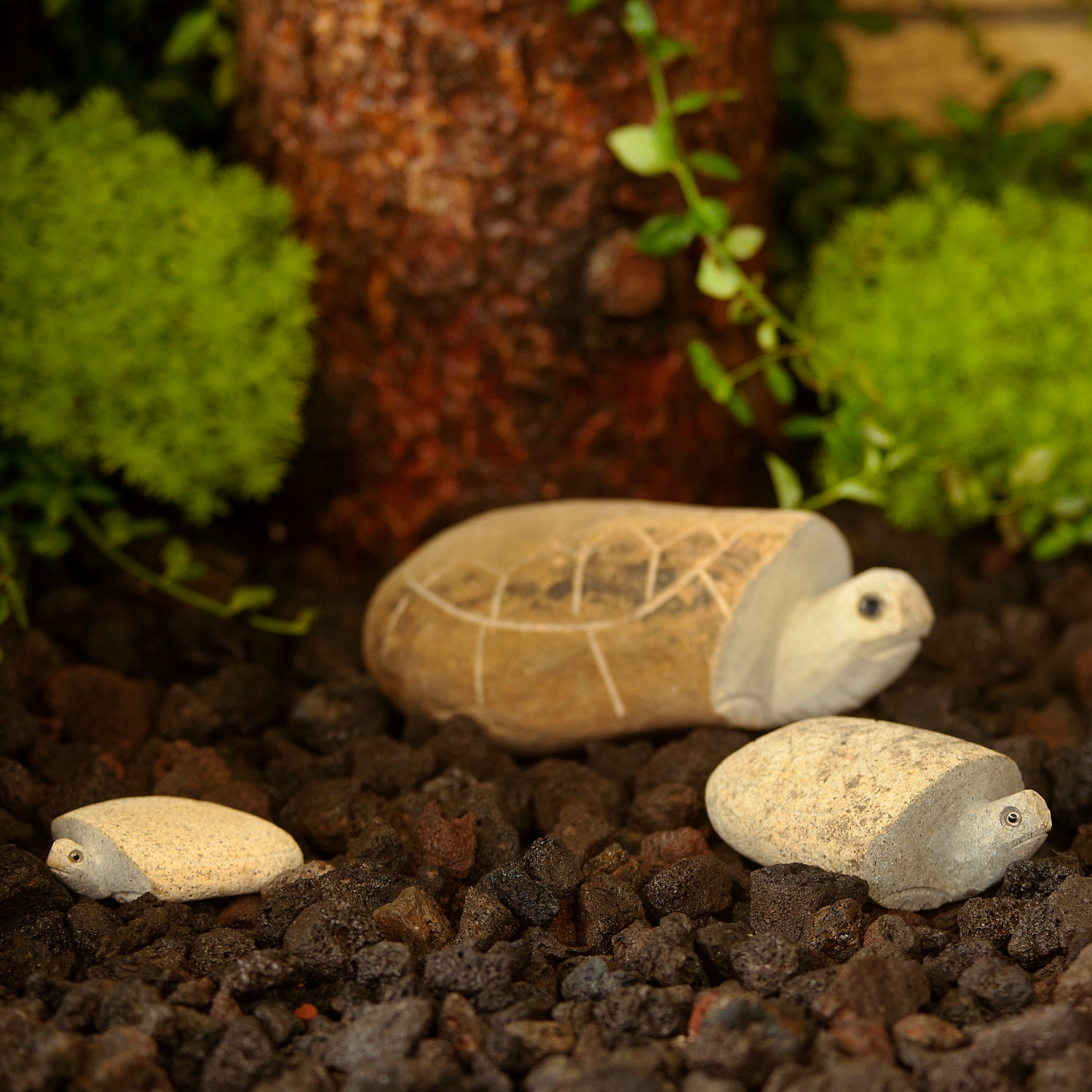Family of Boulder Turtles - 3 Pcs 4"H, 6"H, 10"H