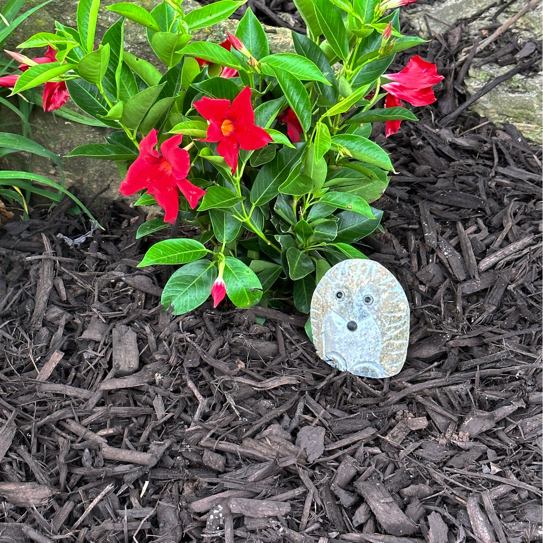 Boulder Standing Hedgehog -4"