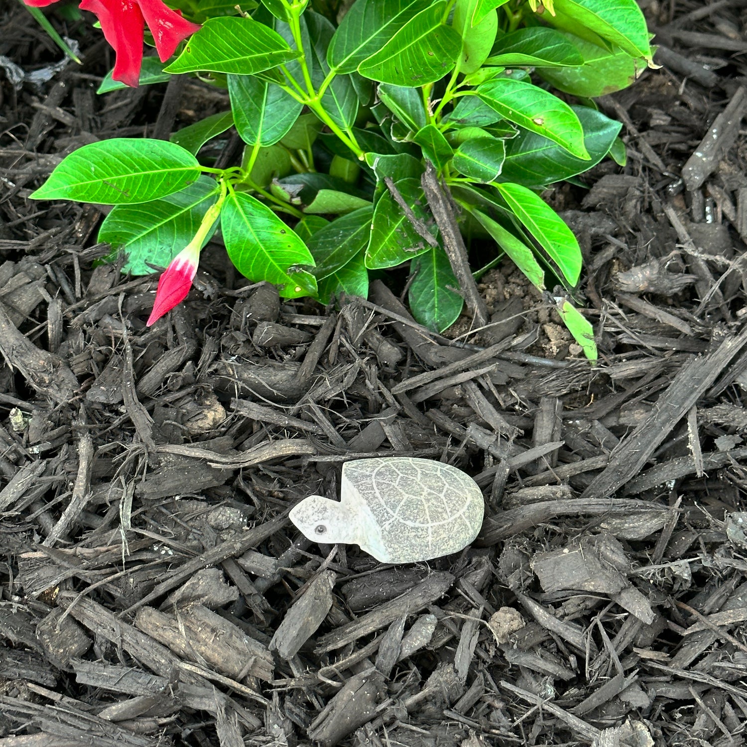 Boulder Turtle - 2&quot;