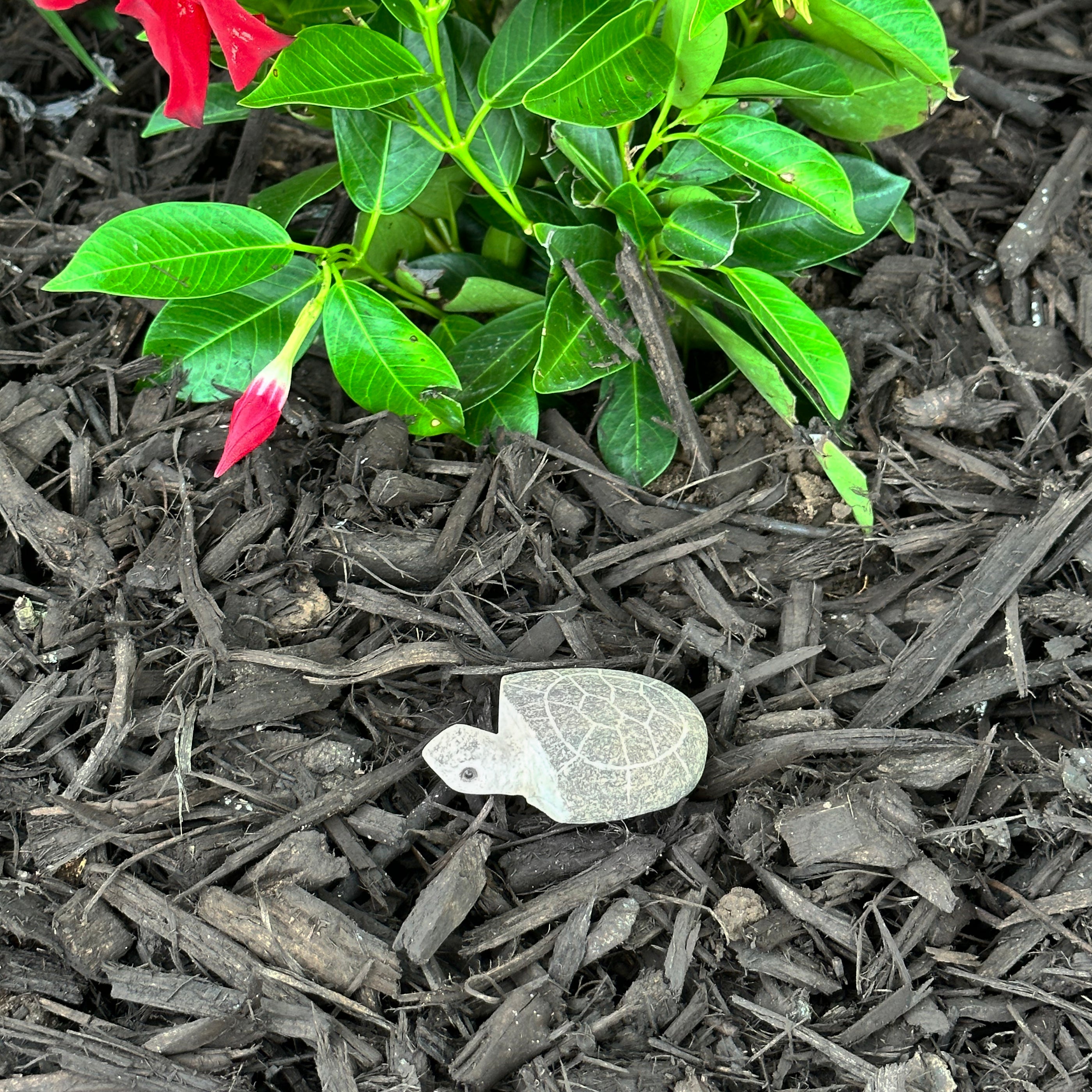 Boulder Turtle - 2&quot;