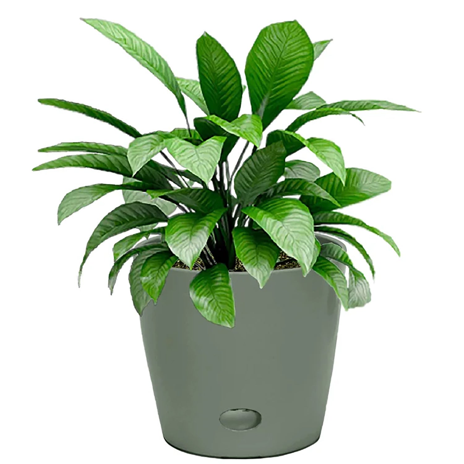 7" Round Self-Watering Bamboo Pot - Sage Green