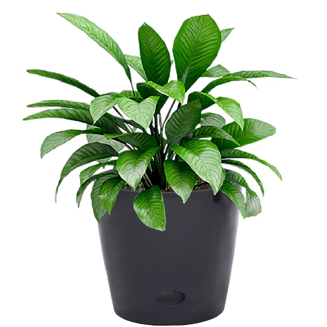7" Round Self-Watering Bamboo Pot - Black
