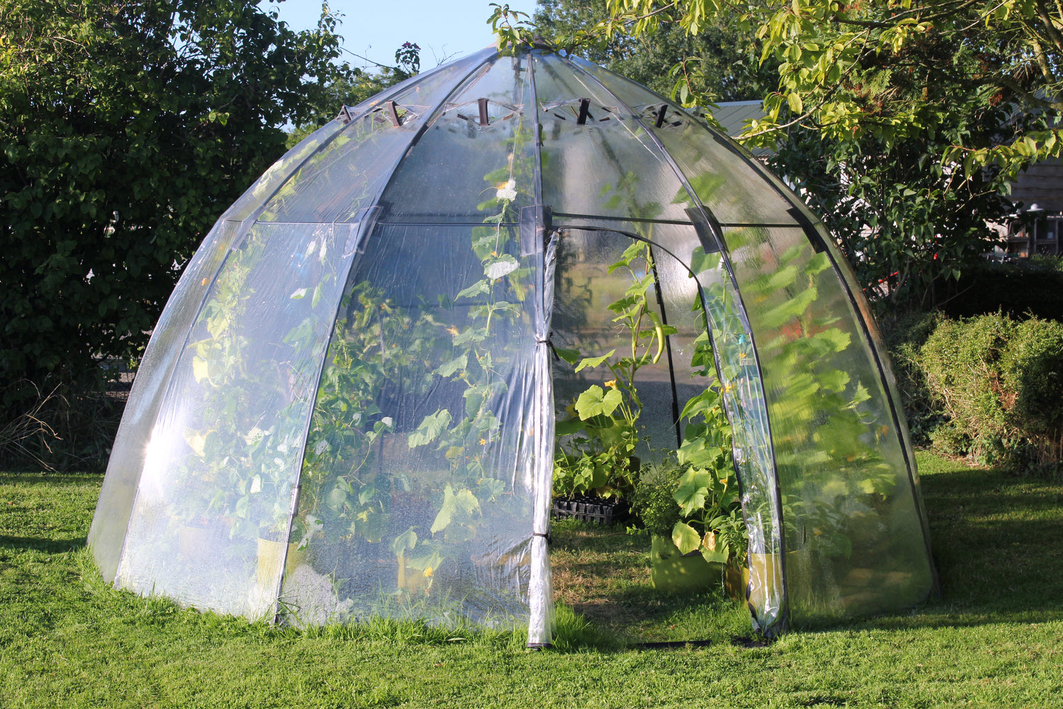 Sunbubble Greenhouse - Large
