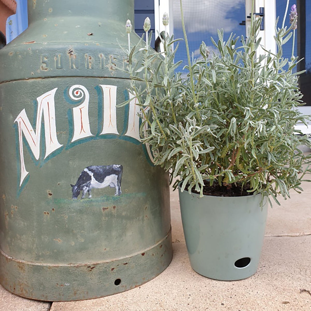 7" Round Self-Watering Bamboo Pot - Sage Green