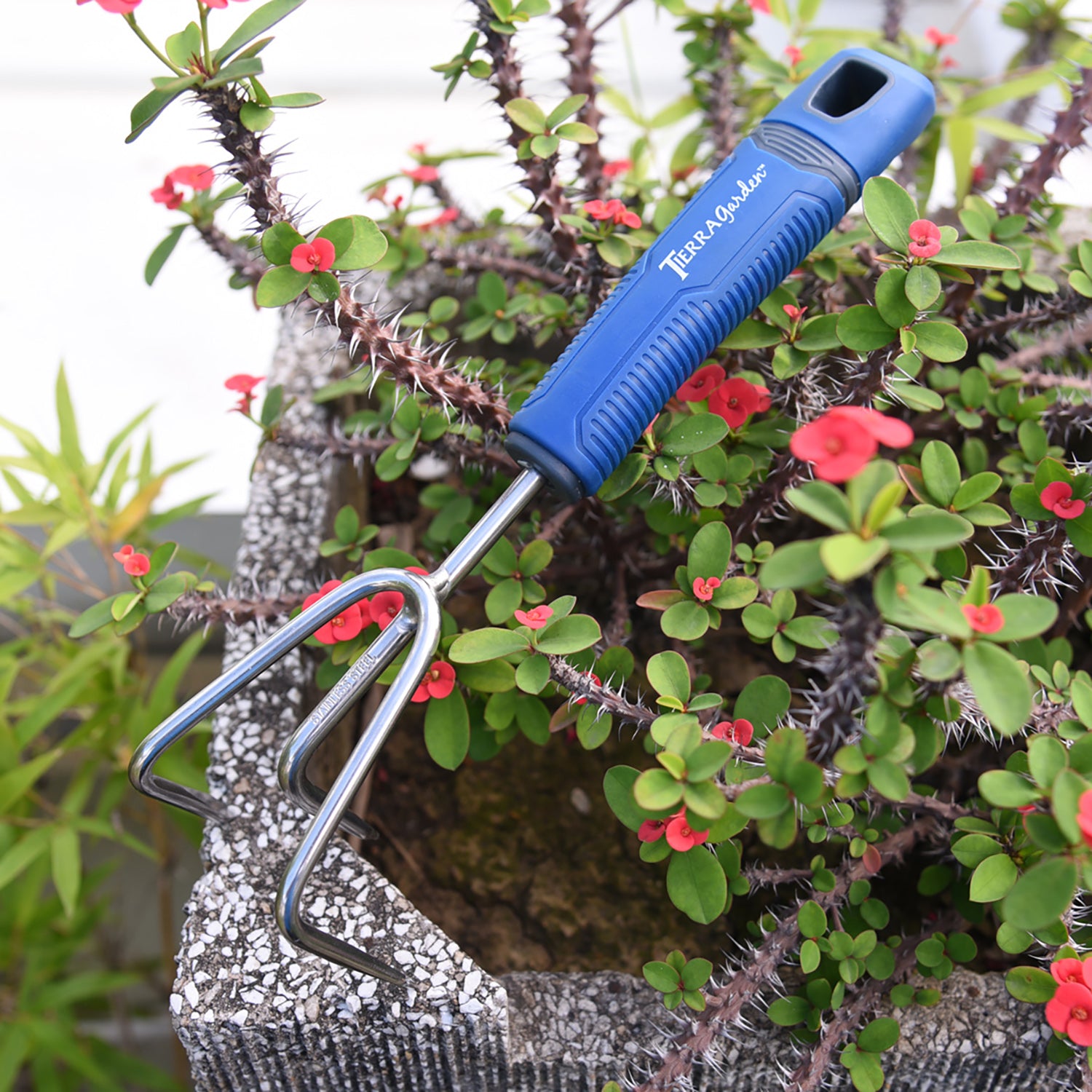 Tierra Stainless Steel Cultivator with TPR Handle