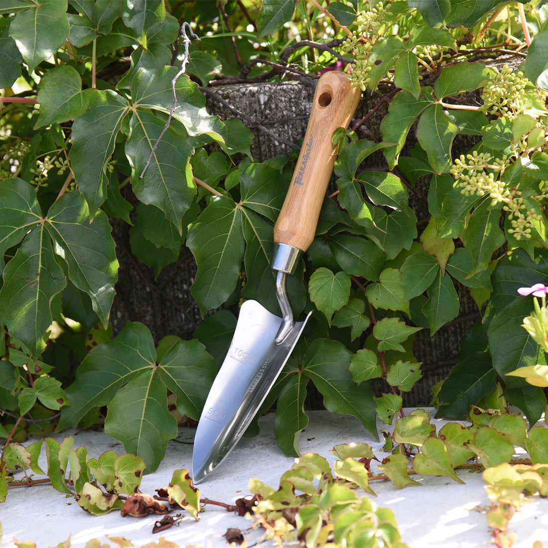 Tierra Stainless Steel Transplanter with Bamboo Handle