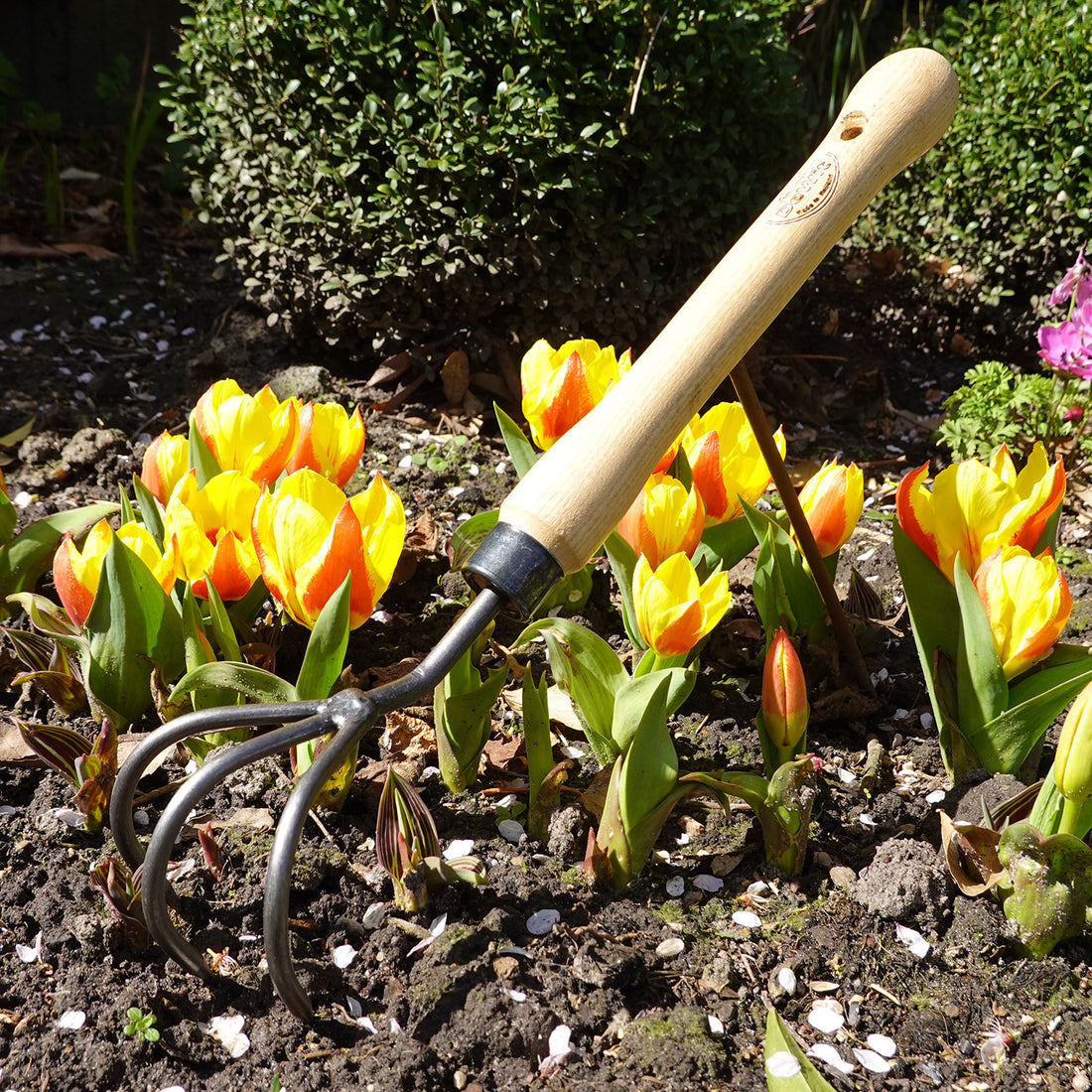 DeWit Cultivator - Midsize Handle