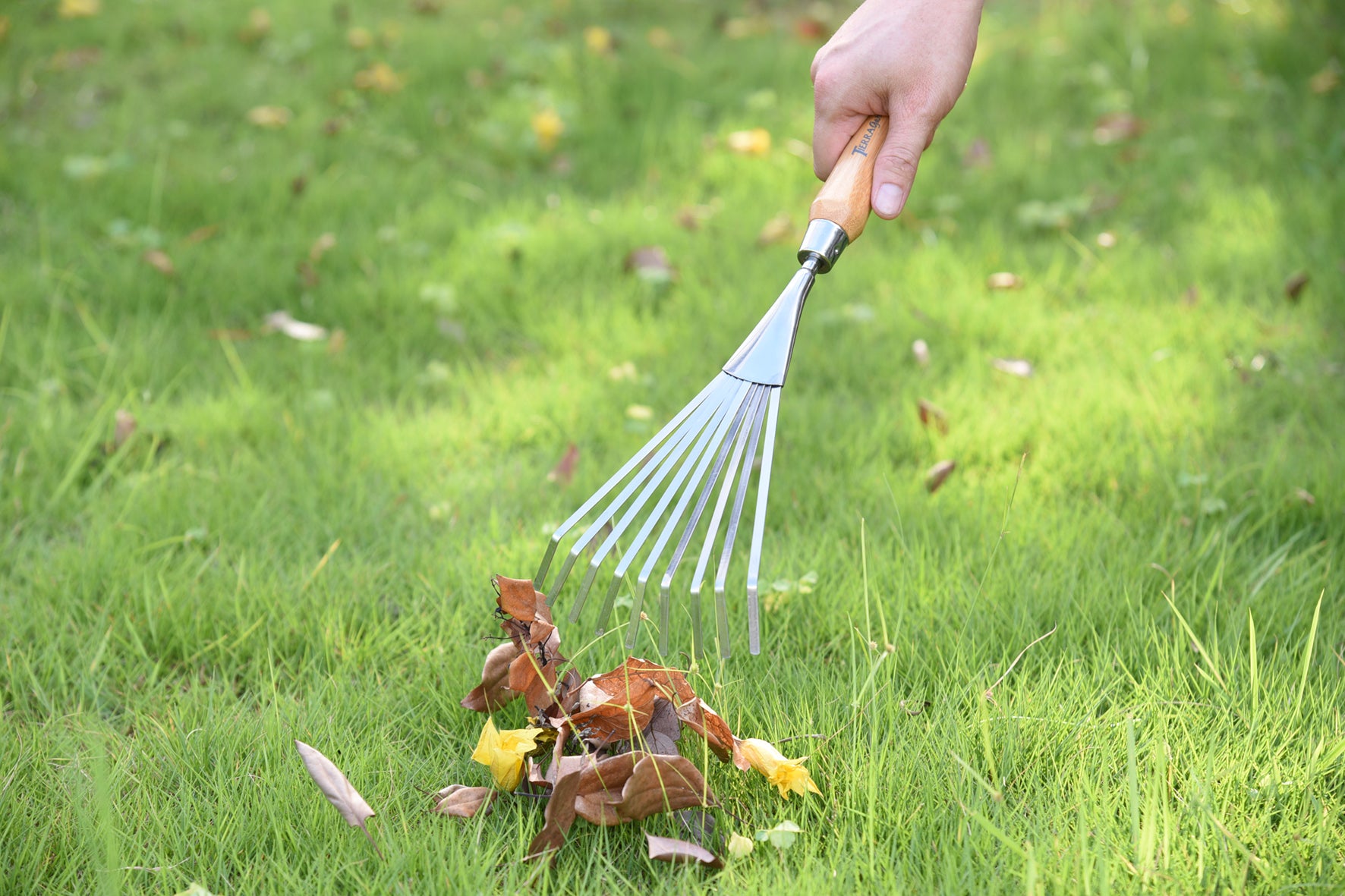 Tierra Stainless Steel Hand Rake with Bamboo Handle