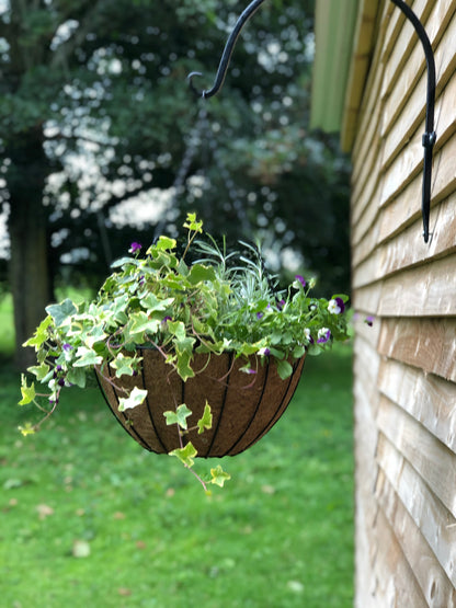 York Deluxe Hanging Basket with Coco Liner - 16"