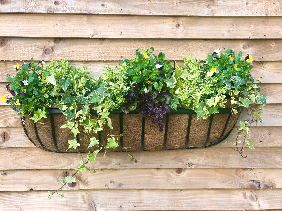 Cambridge Premium Wall Trough with Coco Liner - 24"