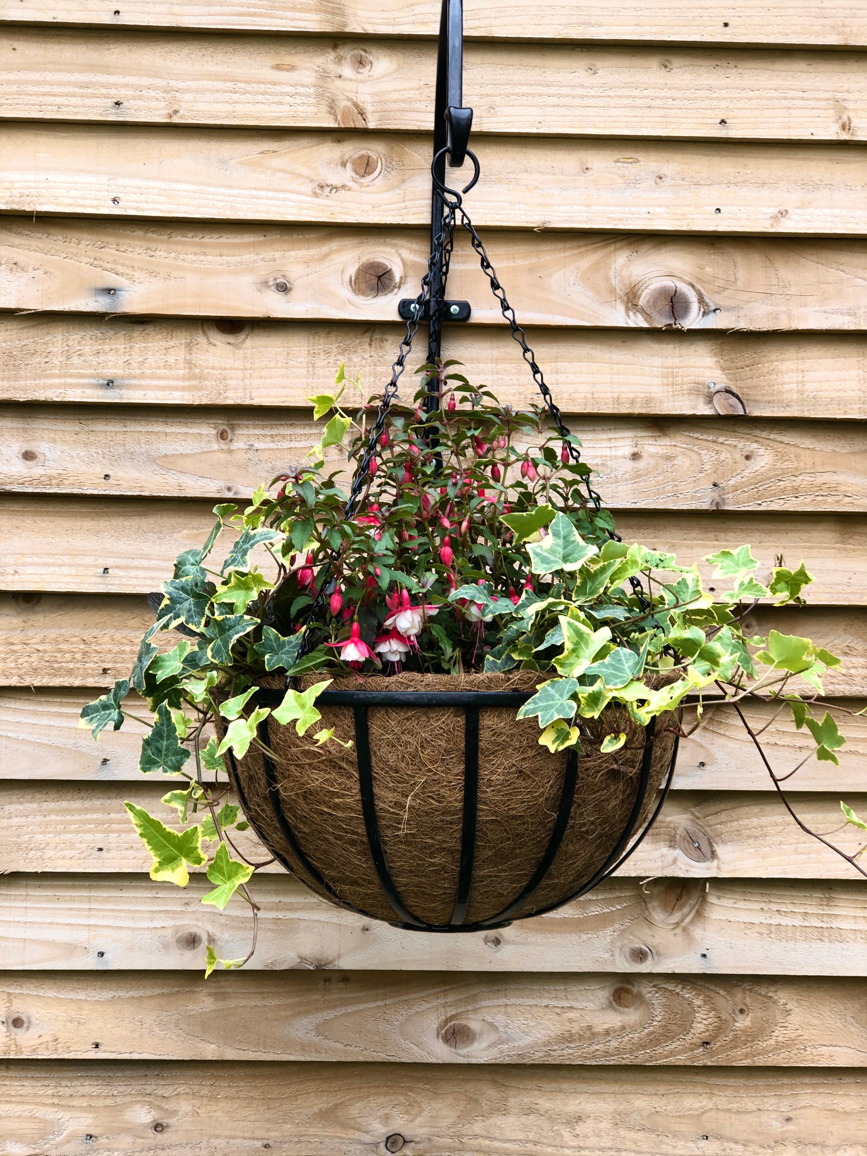 Cambridge Premium Hanging Basket with Coco Liner - 16"