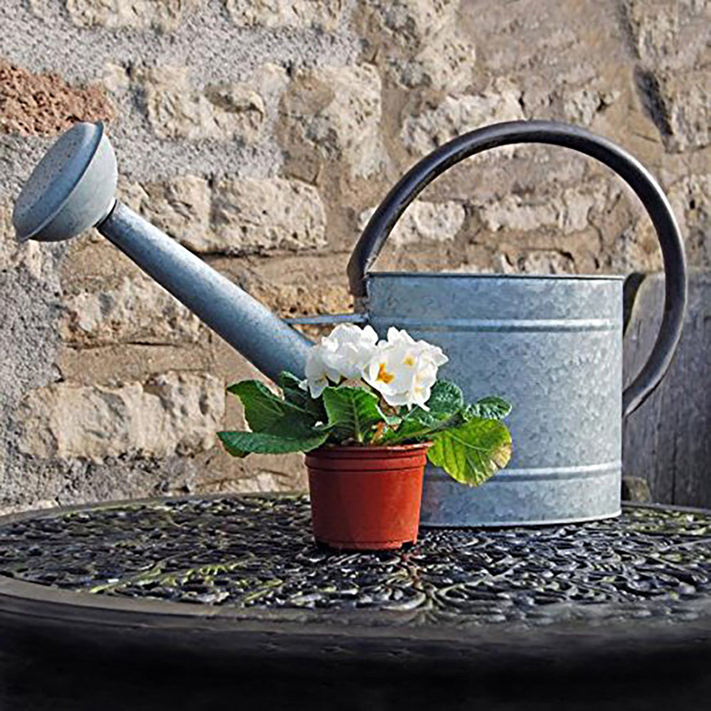 Aged Zinc Watering Can - 2.1 gal Oval