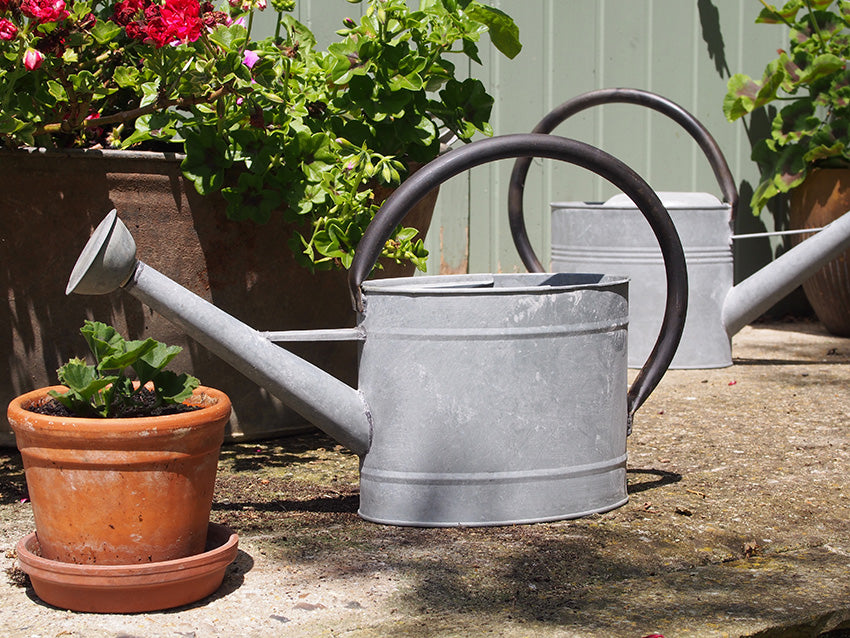 Aged Zinc Watering Can - 1.3 gal Oval