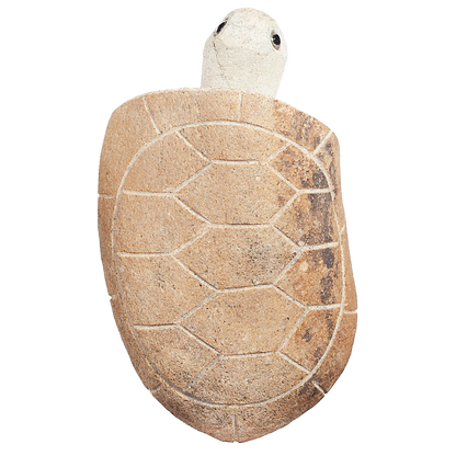 Boulder Turtle - 10&quot;