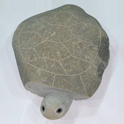 Boulder Turtle - 14" H
