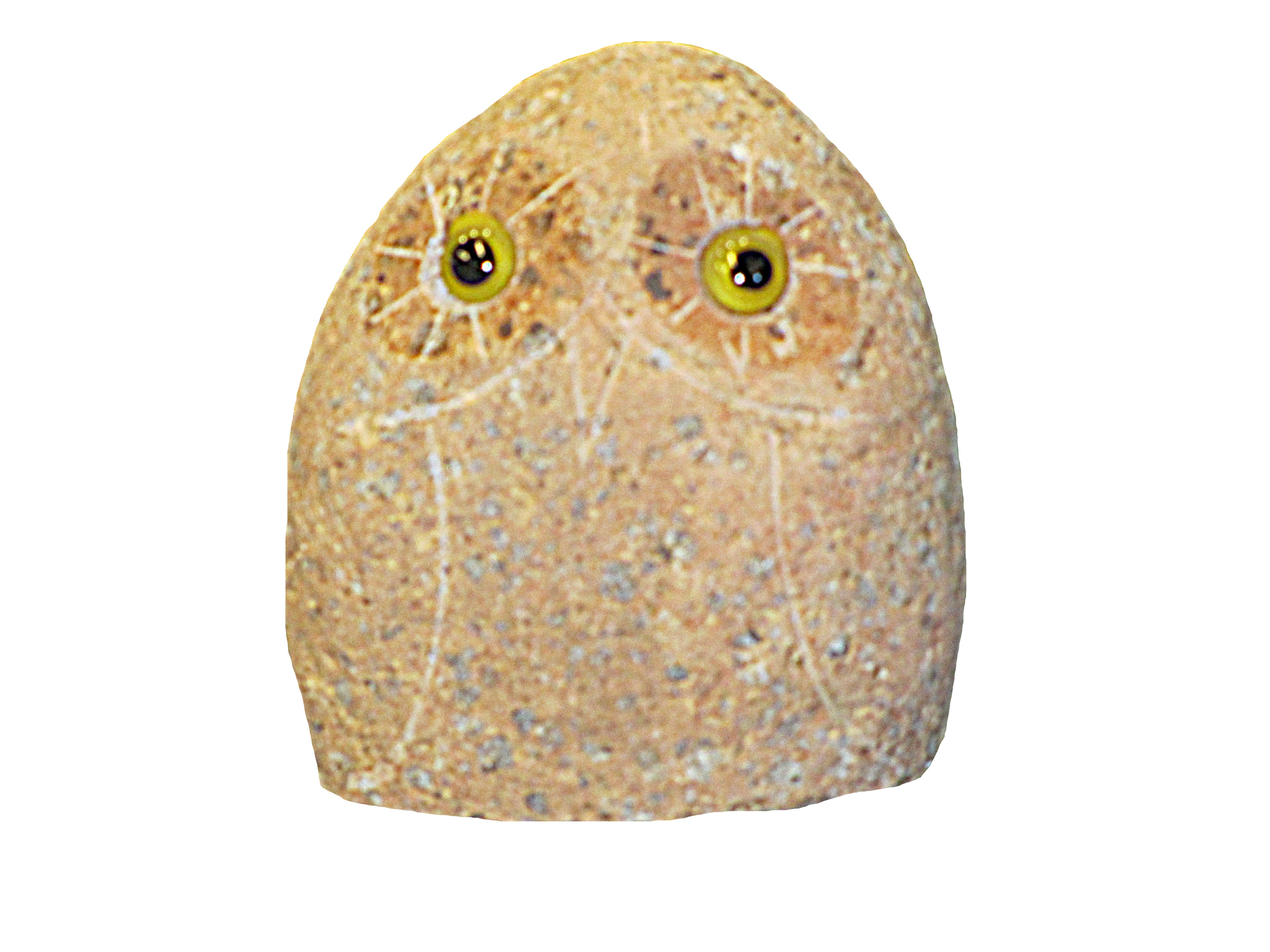 Boulder Owl - 2&quot;