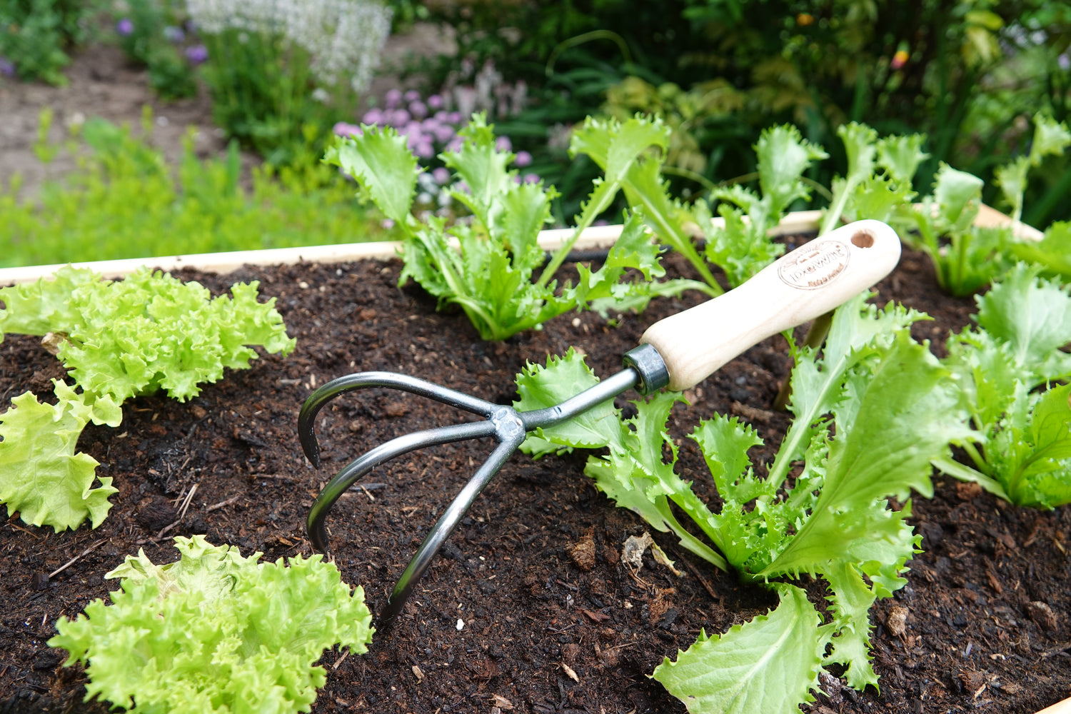 DeWit Cultivator - 3 Tine