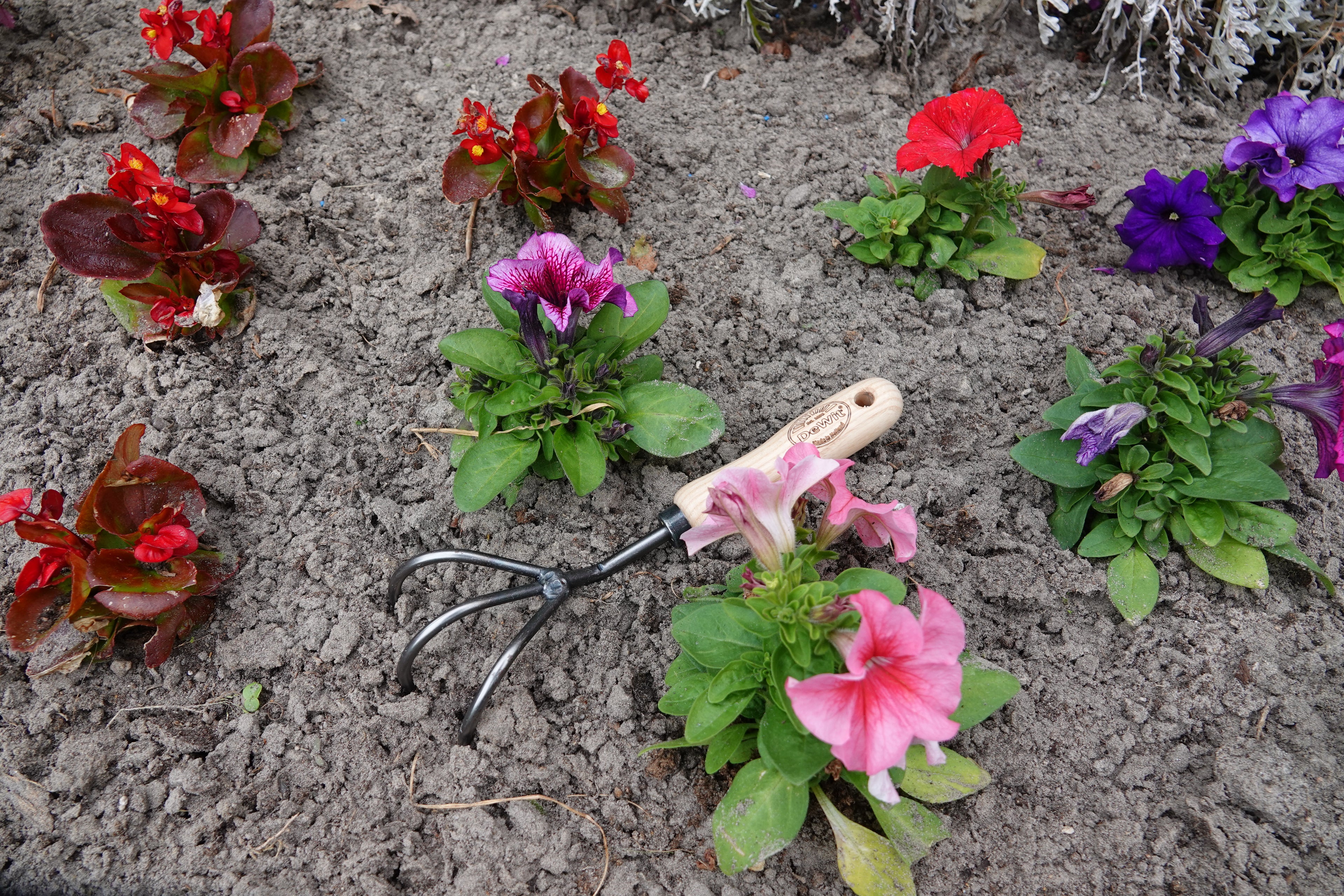 DeWit Cultivator - 3 Tine