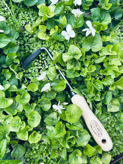 DeWit Weeder - Cape Cod Right Handed