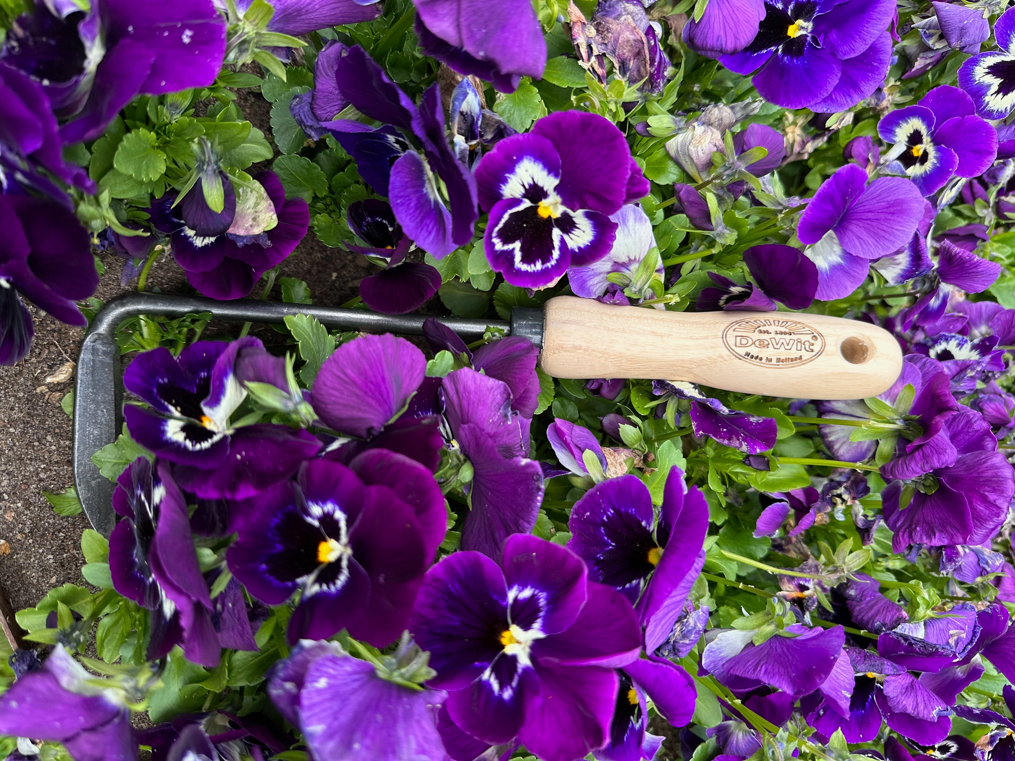 DeWit Weeder - Cape Cod Right Handed